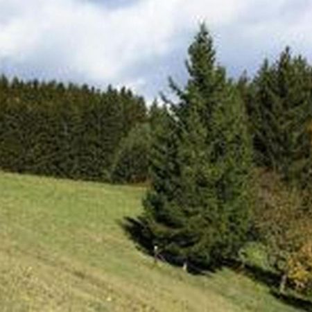 Landgasthof Hauser Immendingen Экстерьер фото